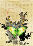花朵蝴蝶
