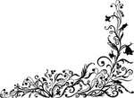 花纹