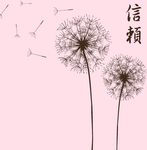 蒲公英