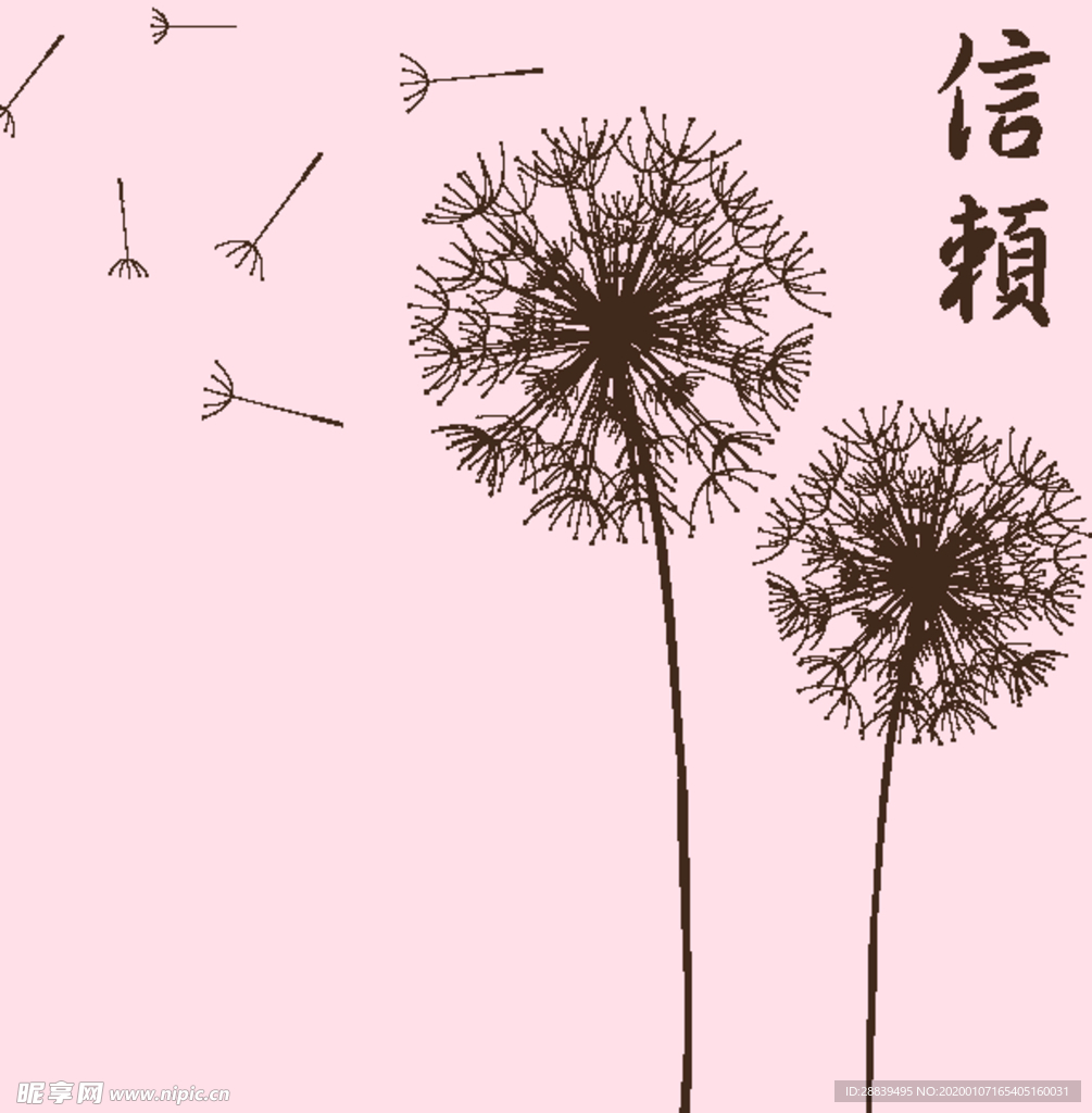 蒲公英
