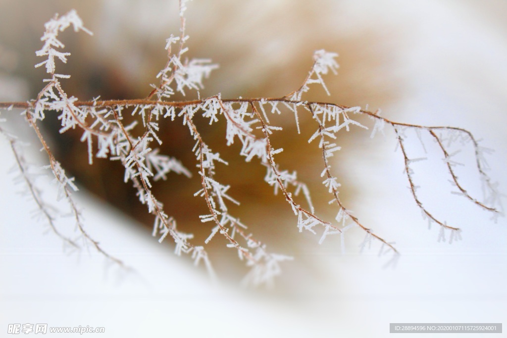 雪花