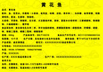 黄花鱼