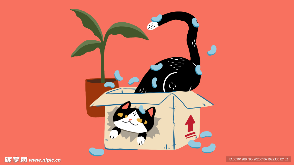 猫在包装盒里面玩