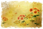 花卉手绘