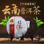 新茶上市海报