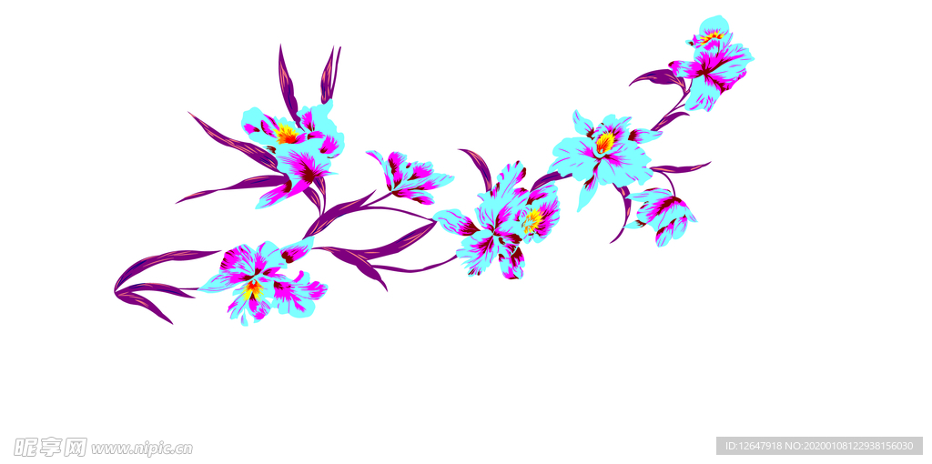 一枝花