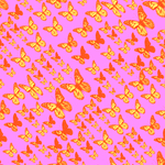 蝴蝶花