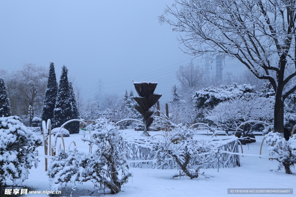 冬雪地景