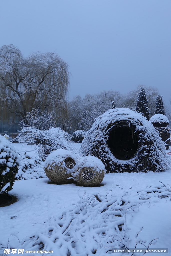 冬雪地景