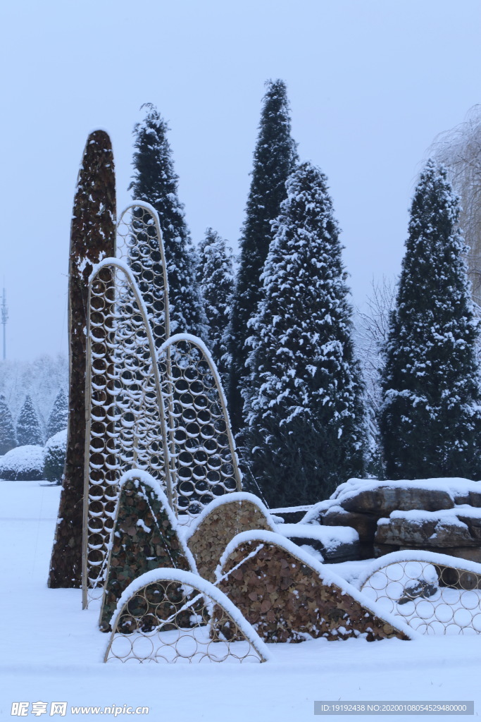 冬雪地景