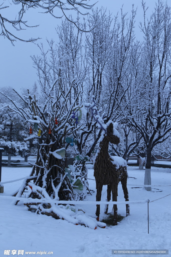 冬雪地景