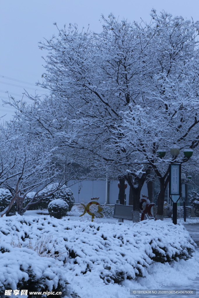 冬日雪景