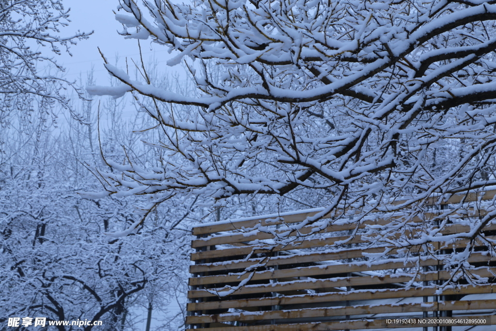 冬日雪景
