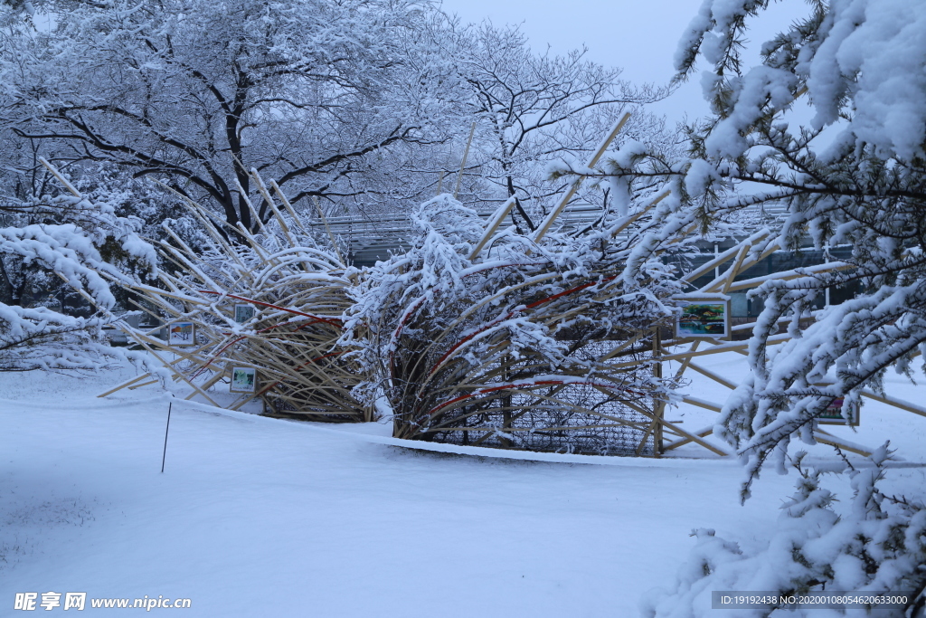 冬雪地景