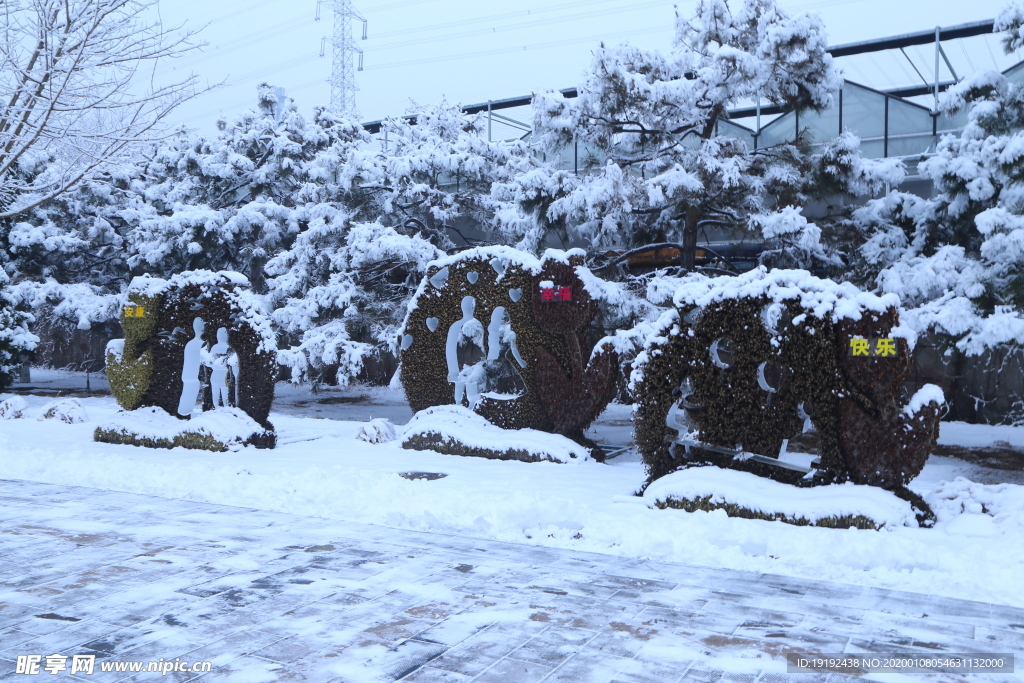 冬雪地景