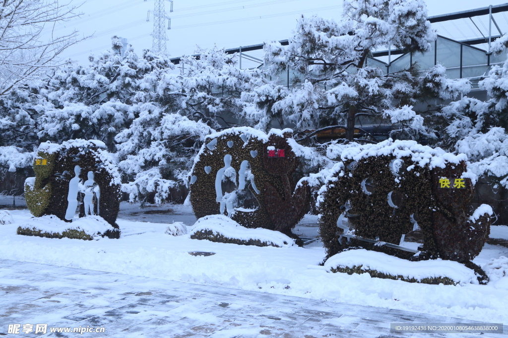 冬雪地景
