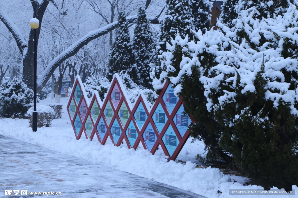 冬日雪景