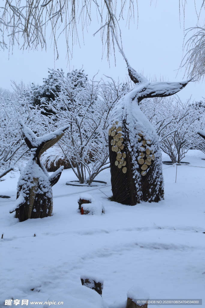 冬雪地景