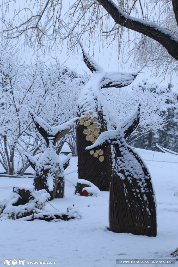 冬雪地景