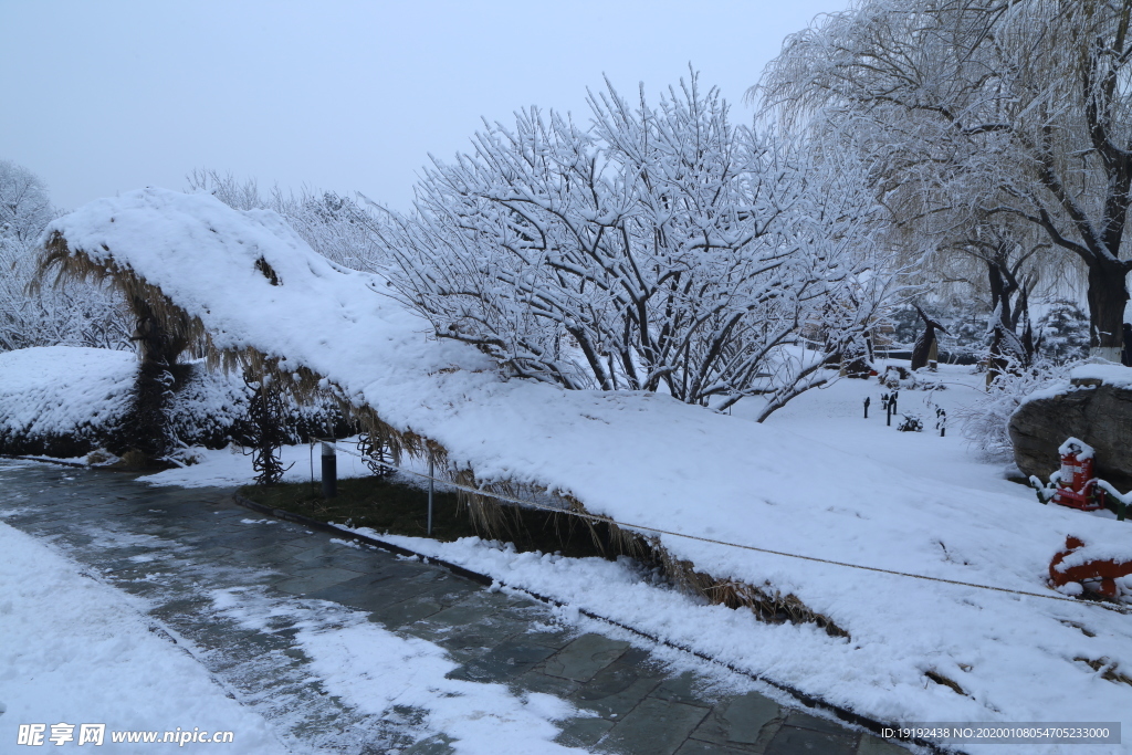 冬雪地景