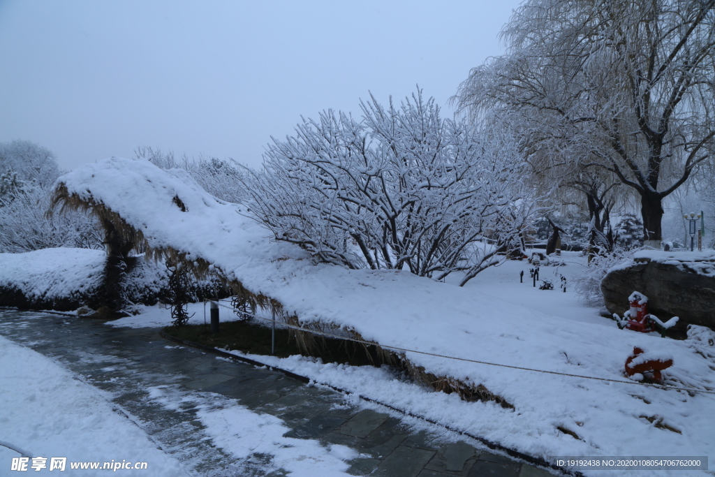 冬雪地景