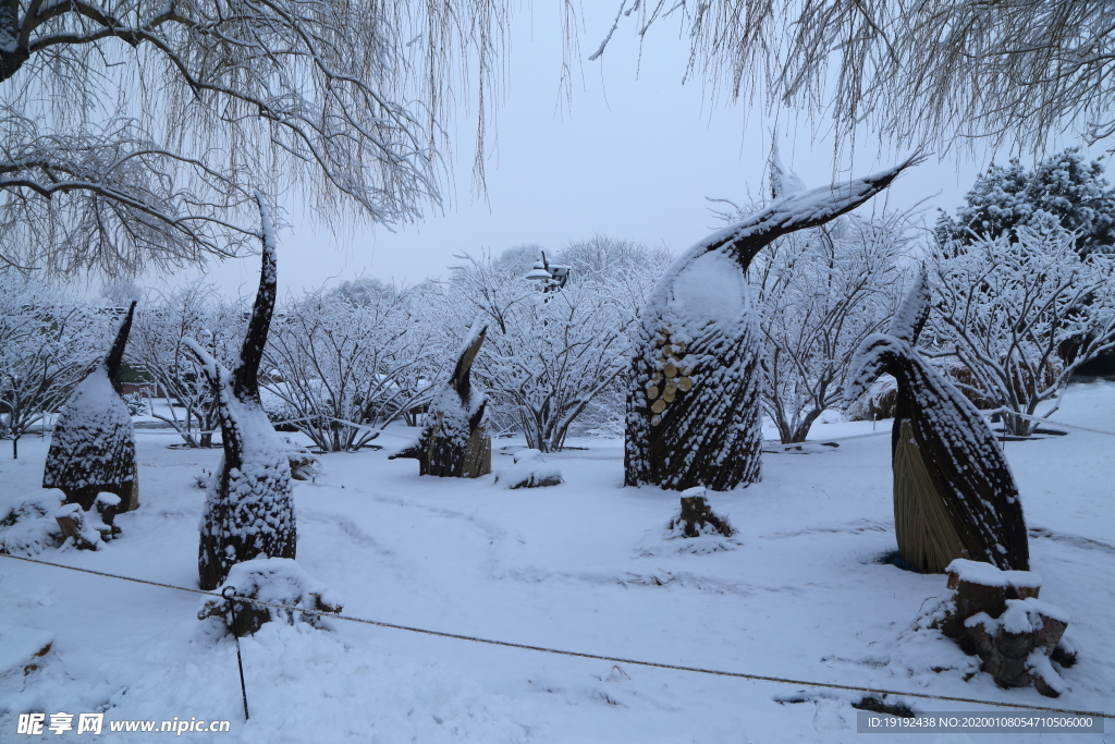 冬雪地景