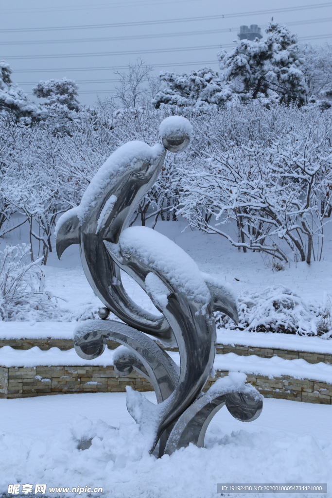 冬雪地景