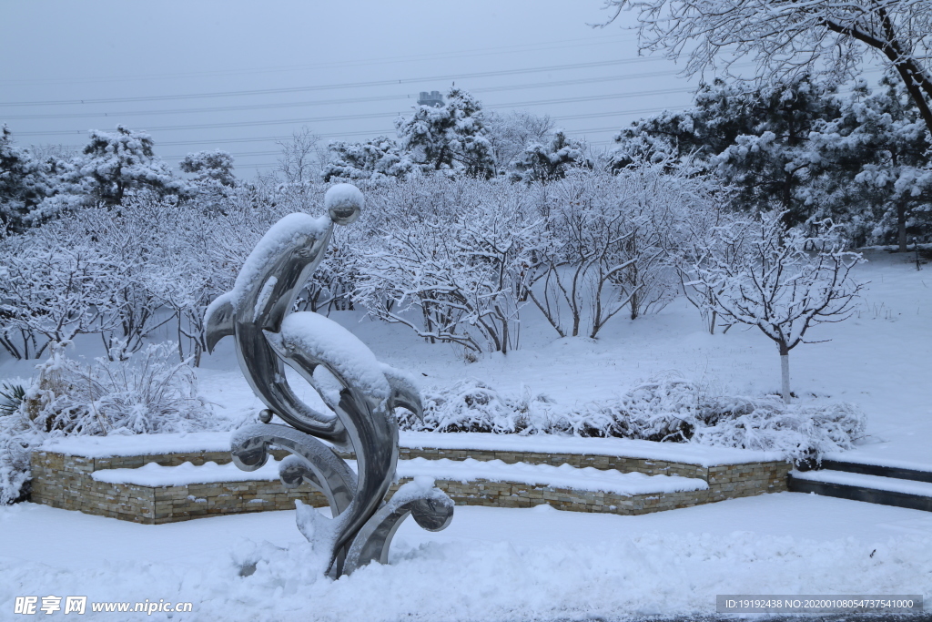 冬雪地景