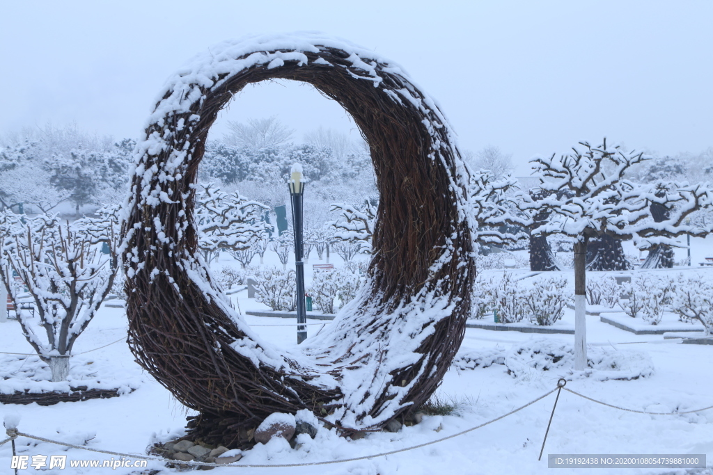 冬雪地景