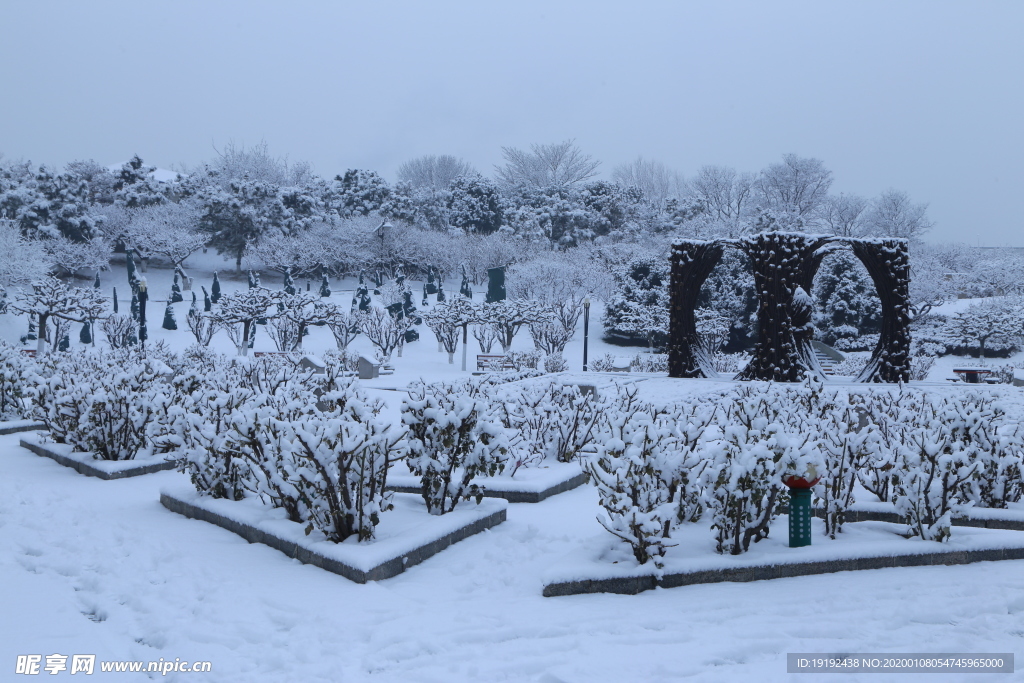 冬雪地景