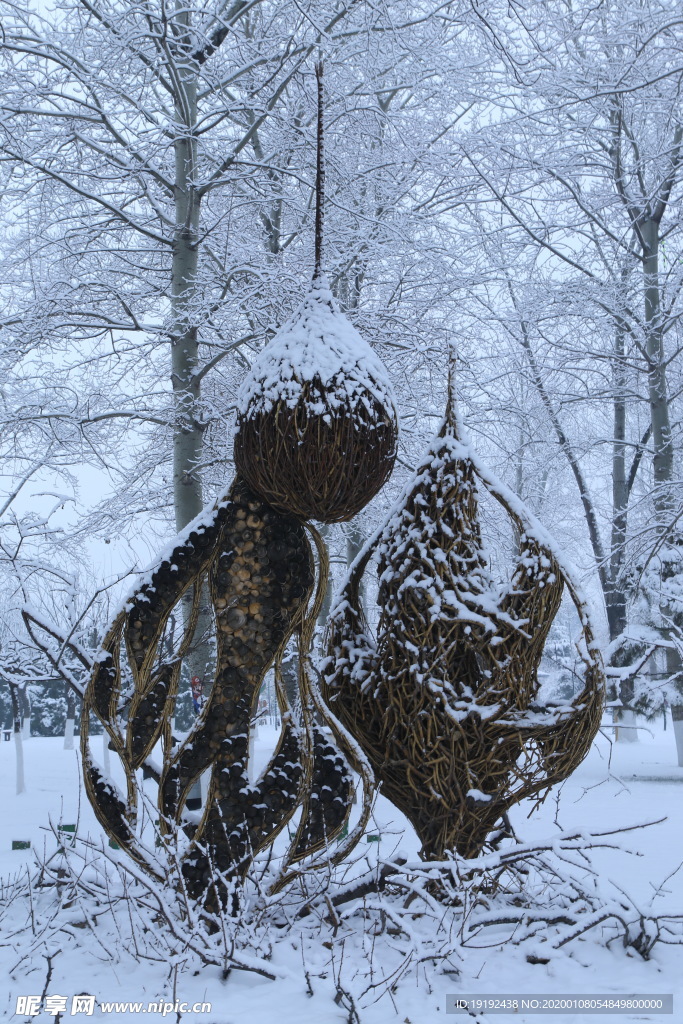 冬雪地景