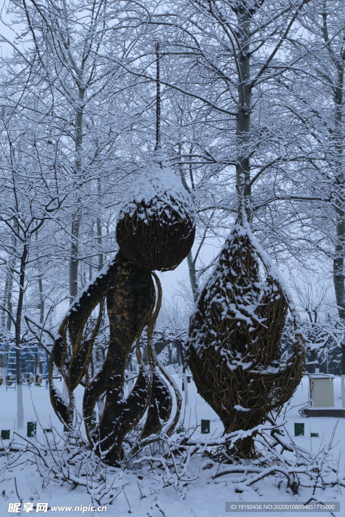 冬雪地景