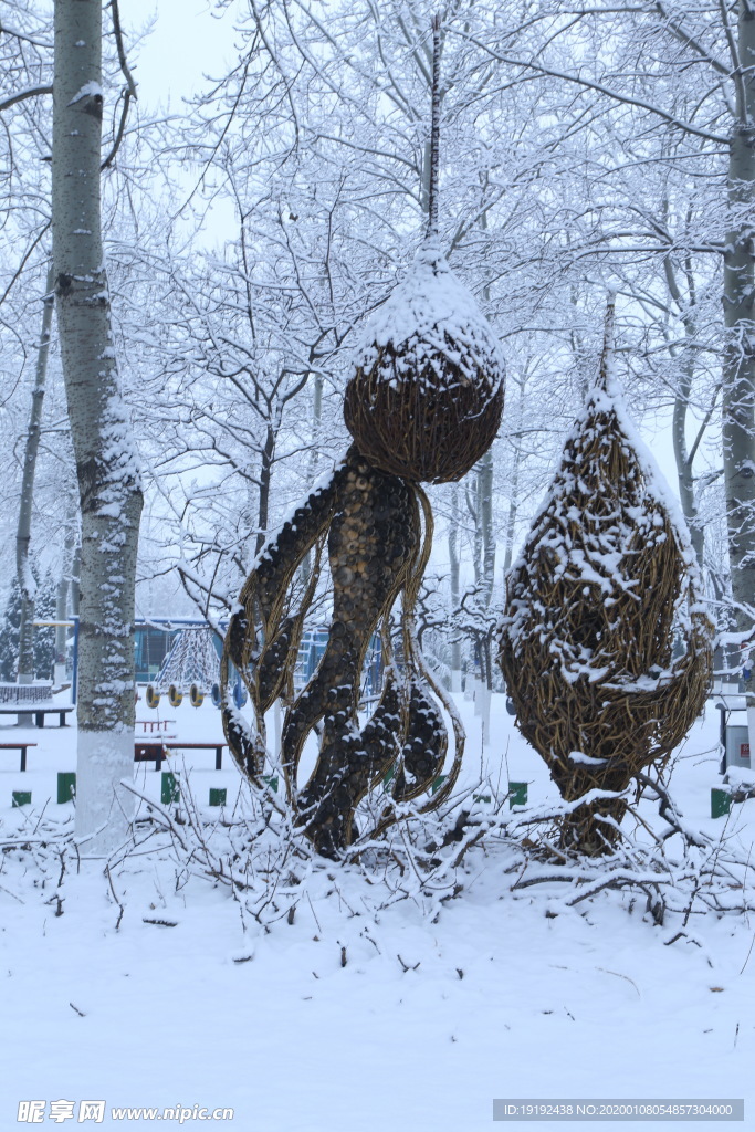 冬雪地景