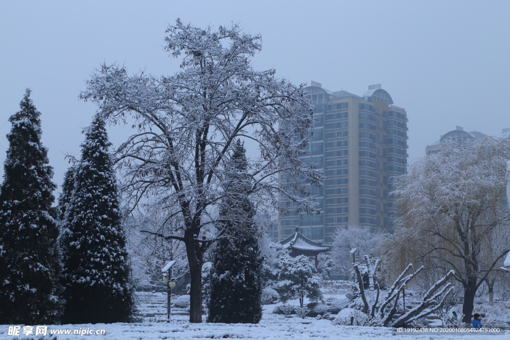 冬日雪景