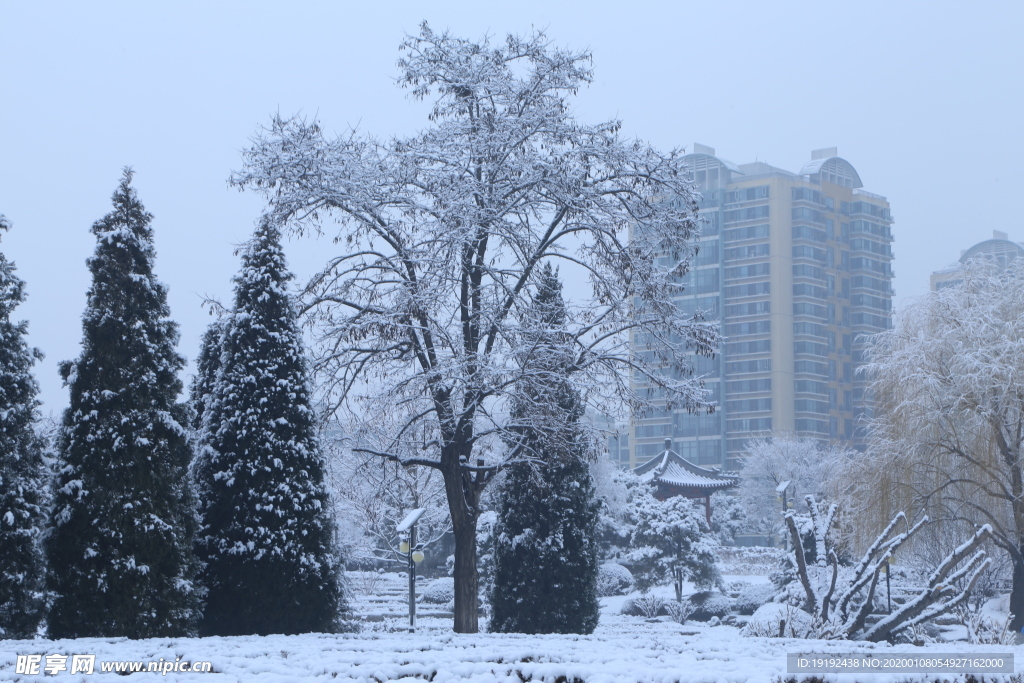冬日雪景