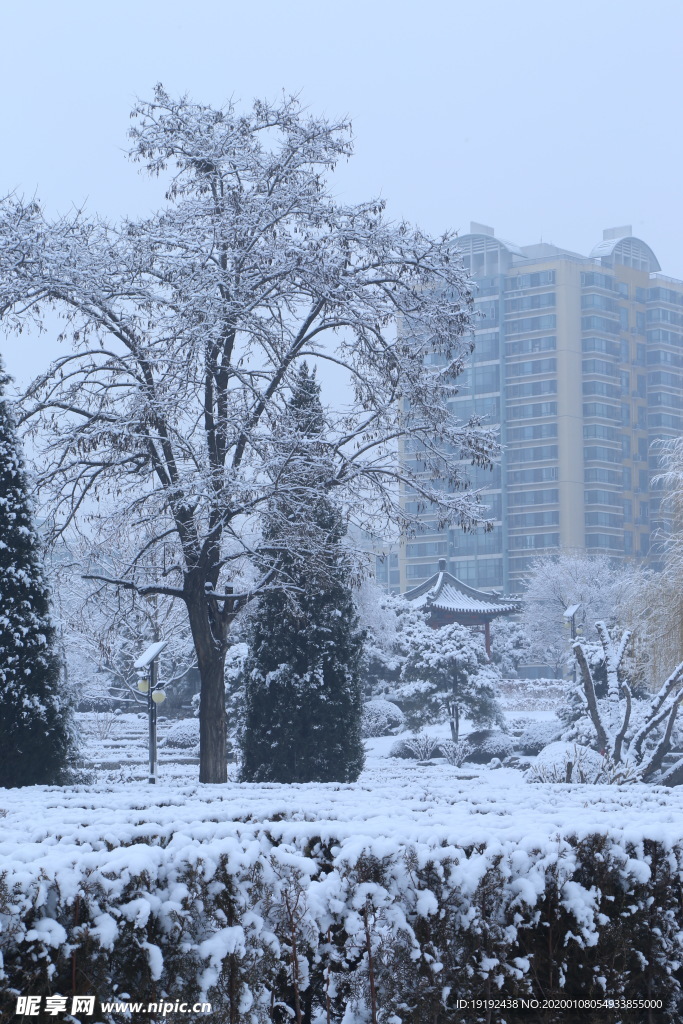 冬日雪景