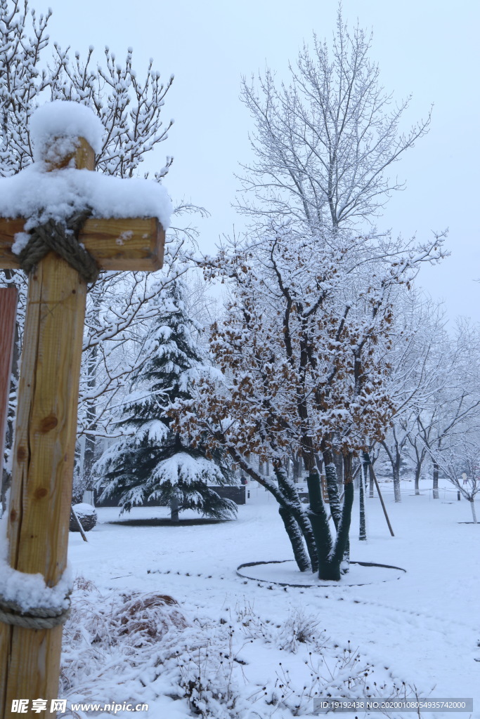 冬雪地景