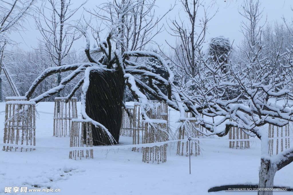 冬雪地景