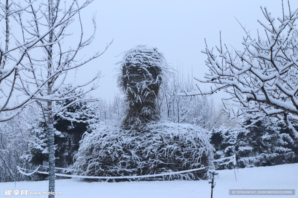 冬雪地景