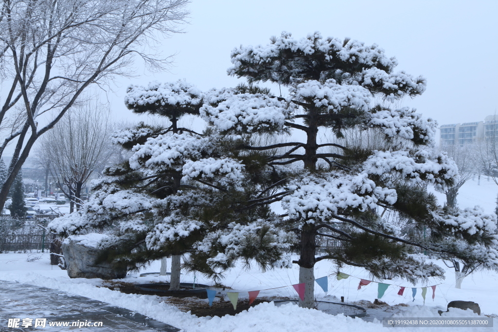 冬日雪景