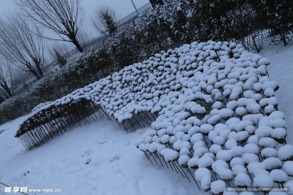 冬雪地景