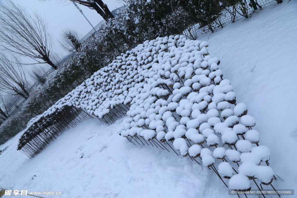 冬雪地景