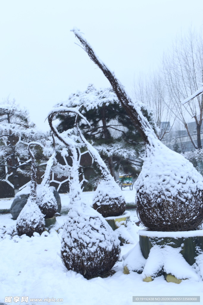 冬雪地景