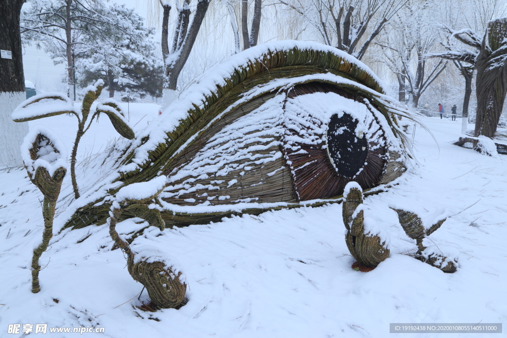 冬雪地景