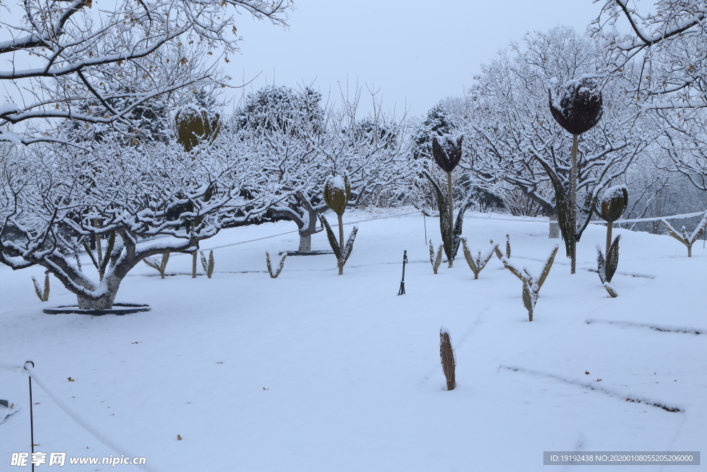 冬雪地景