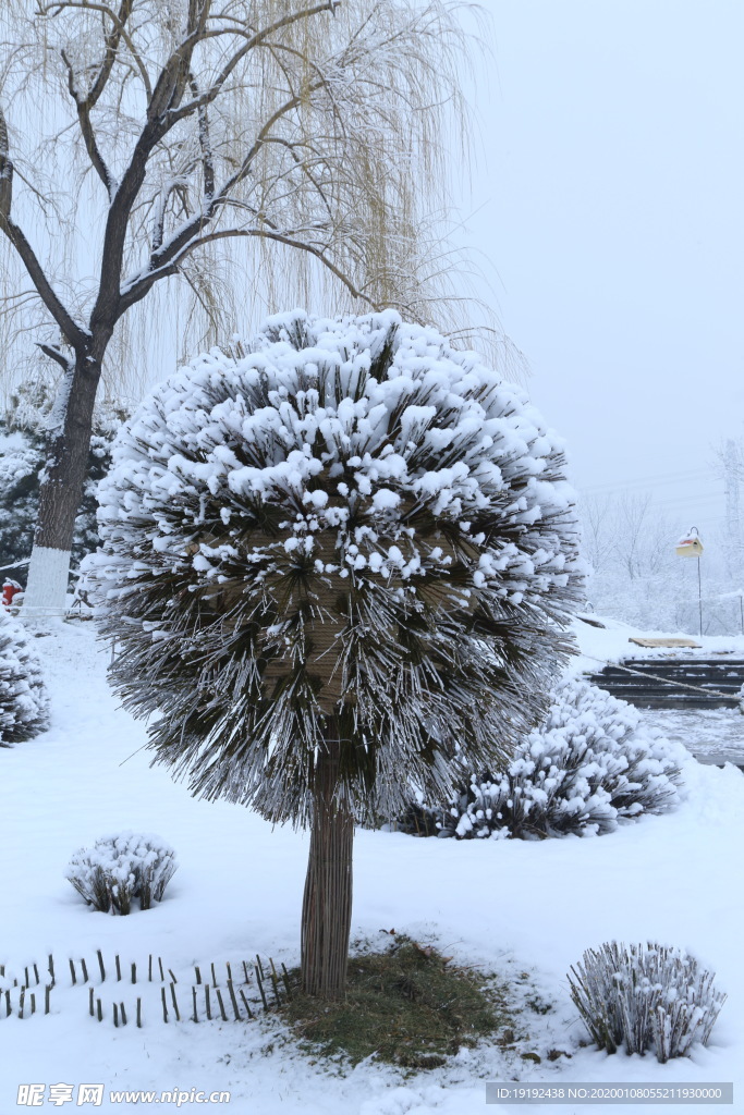 冬雪地景