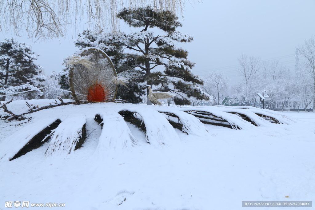 冬雪地景