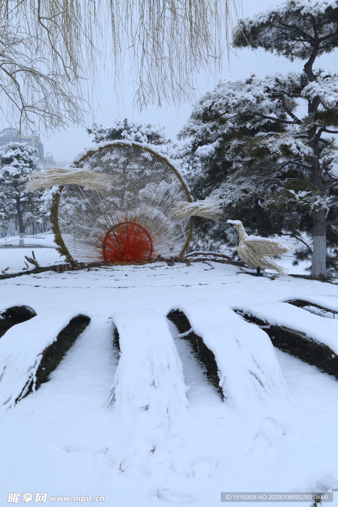 冬雪地景