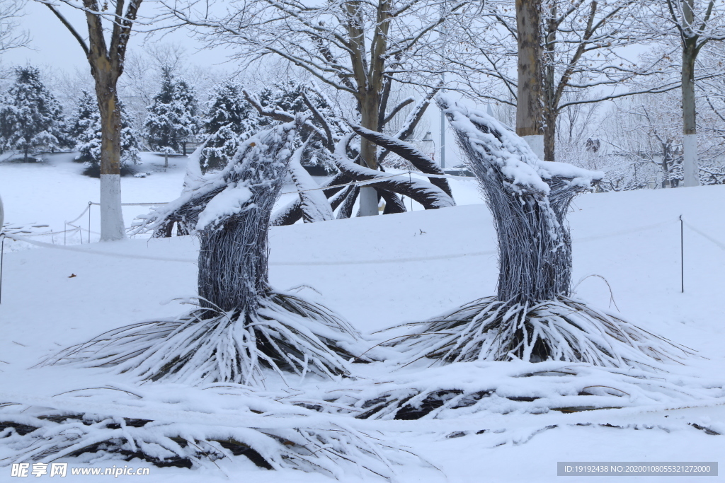 冬雪地景