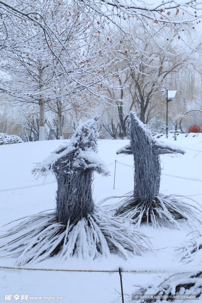 冬雪地景